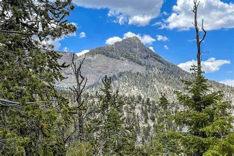 15 Mount Charleston Hiking Trails: Our Favorites