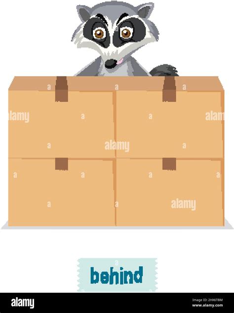 English Prepositions Raccoons Behide The Boxes Illustration Stock Vector Image And Art Alamy