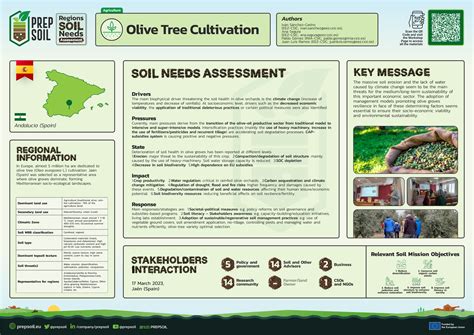 Olive Tree Cultivation - Andalucia (Spain) | Prepsoil