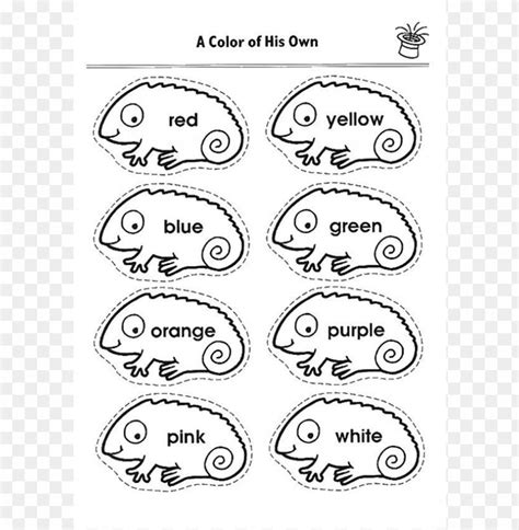 A Color Of His Own Chameleon Coloring Page Png Image With Transparent