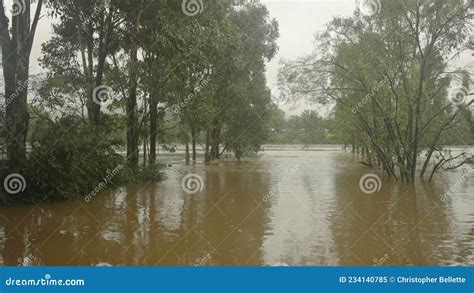 Riverside Reserve Under Flood From The Nepean River Stock Image Image