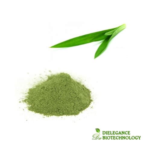 Food Ingredient 10:1 20:1 Pandan Leaf Extract Powder