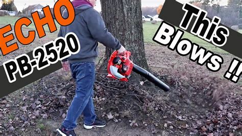 Echo Pb 2520 Handheld Leaf Blower Unboxing Setup Review Youtube