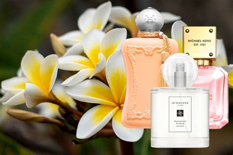 6 Tropical Frangipani Perfumes My Top Picks Viora London