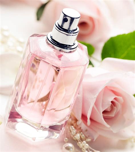 8 tipos básicos de perfumes que debes conocer Maquillaje 2024