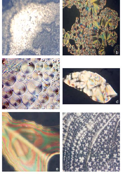 The Polarizing Light Micrographs A Cholesteric Texture B