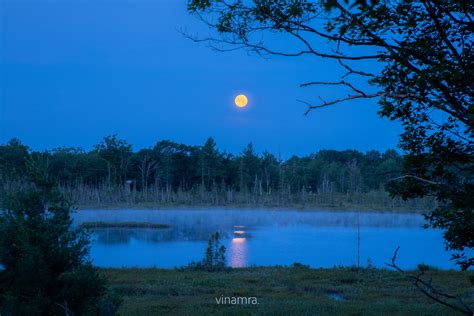 Torrance Barrens Dark Sky Preserve On Behance