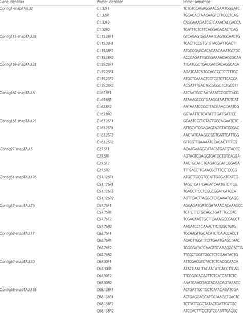 Primer Pairs For The Candidate Genes Download Table