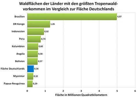 Vorkommen Tropischer Regenw Lder Faszination Regenwald