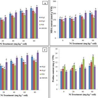 Effect Of Different Concentrations Of Ni 0 20 40 60 And 80 Mg Ni