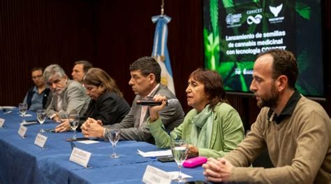 Por Primera Vez Se Comercializar N Semillas De Cannabis Medicinal Con