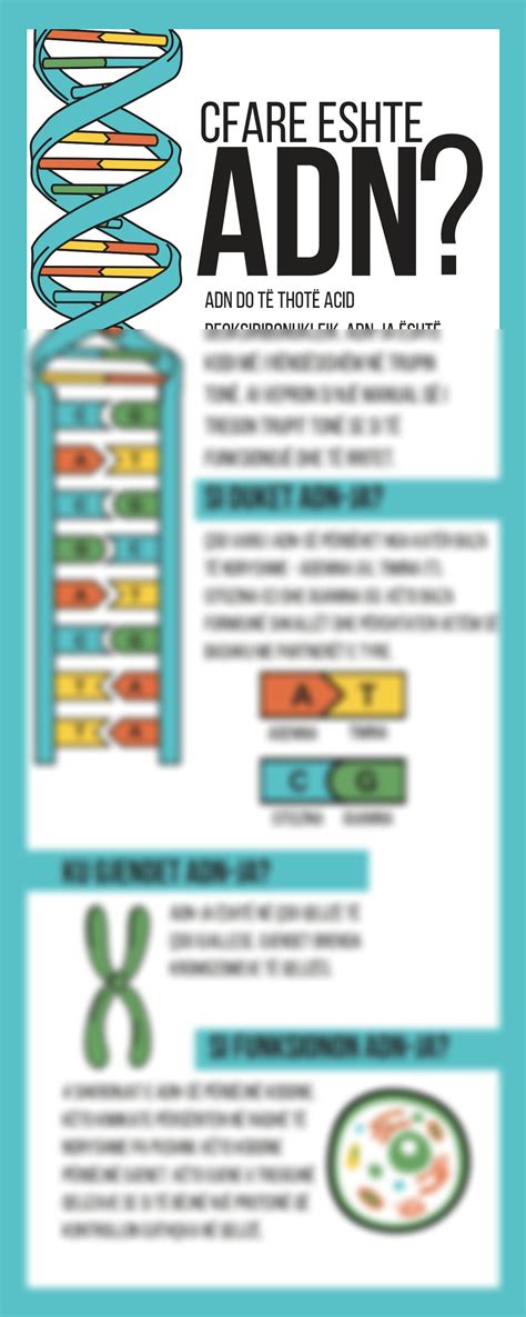 SOLUTION: Blue colorful fun what is dna life science infographic ... 
