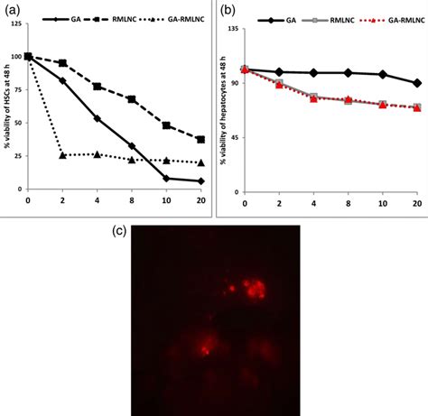 Cytotoxicityantiproliferative Activity Of Free Ga Rmlnc Either Void