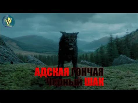 Черный Шак или Адская гончая. - YouTube