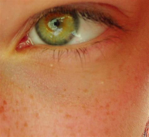 Porn Surfing Federal Workers Blame Boredom Lack Of Work For Misbehavior