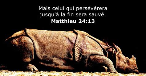 Matthieu Verset De La Bible Dailyverses Net