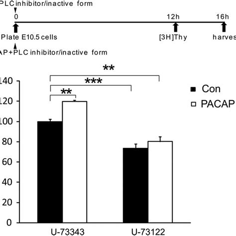 The Role Of PLC Activation In The Pro Mitogenic Effects Of PACAP At