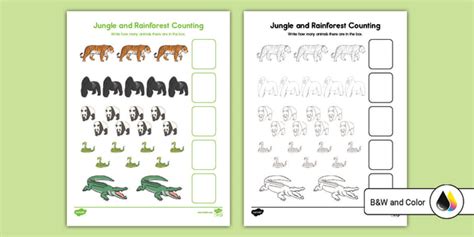 Jungle And Rainforest Counting Activity Teacher Made