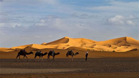 Randonn Es Et Voyages Au D Sert Marocain Trek Sahara Maroc