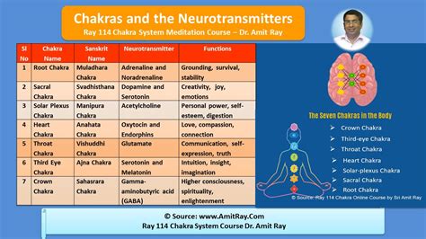 Neurotransmitters And Their Functions Chart