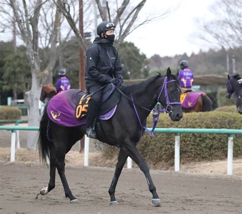 土曜メインレースの注目激走馬阪神11rチューリップ賞・g2 スポーツ報知