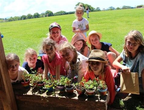 Mini Farmers Term 4 Workshops The Farm Byron Bay