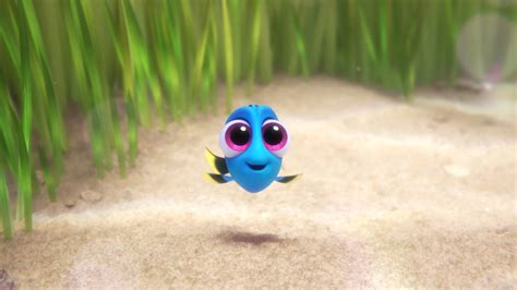 'Finding Dory' News - Get Your Daily Dose of the Adorable, Baby Dory ...