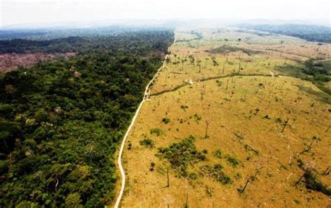 25 Fotos Antes E Depois Da Natureza Que São Inacreditáveis