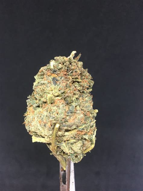 Oz Blowout Og Kush Select Aa Indica Leaning Hybrid Kind