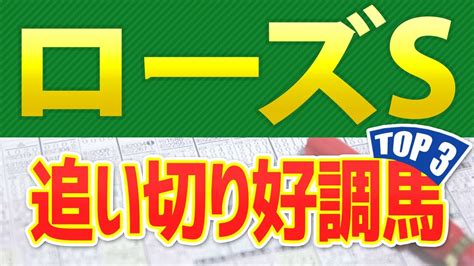 【ローズステークス2023】追い切りが高評価だった「トップ3」はこの馬だ🐴 一週前と最終追い切りや馬体診断 ～jra関西テレビ放送賞ローズsの