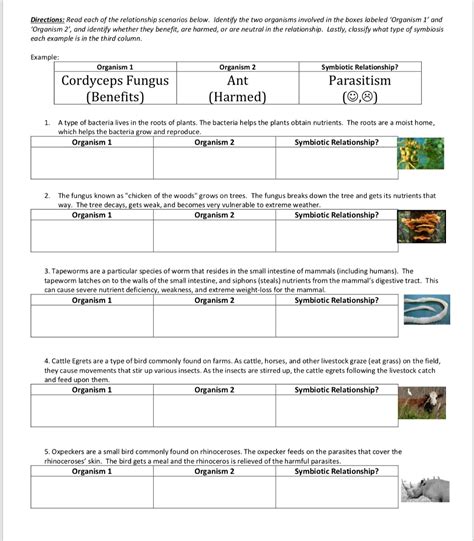 Symbiotic Relationship Activity Sheet