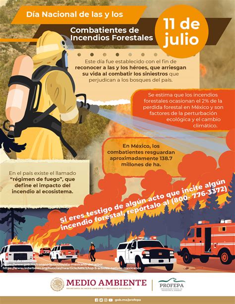 Día Nacional Del Combatiente De Incendios Forestales Procuraduria Federal De Proteccion Al