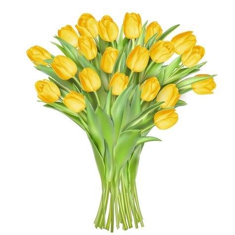 Premium Vector Tulips On White Background