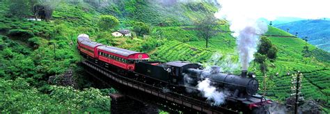 Sri Lanka Tours – Sri Lanka Tours | Sri Lanka Tour Packages