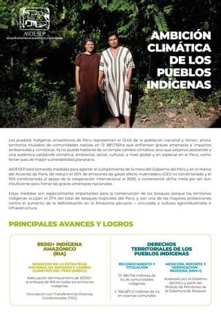 Brochure Wwf Pueblos Ind Genas En La Cop Pdf