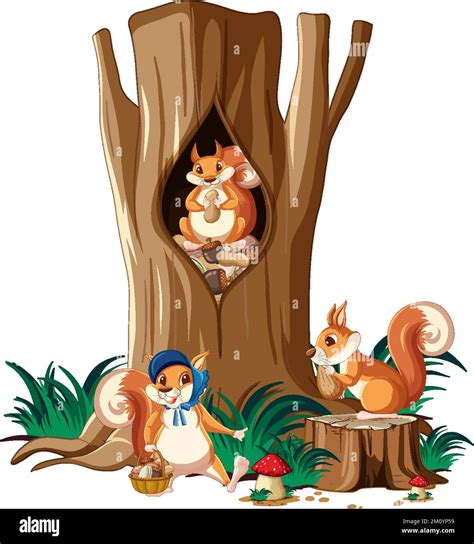 Three Squirrels Eating Nuts In Garden Illustration Stock Vector Image