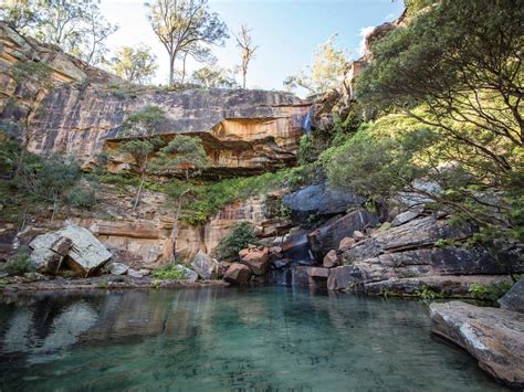 Blackdown Tableland National Park - Attraction - Queensland