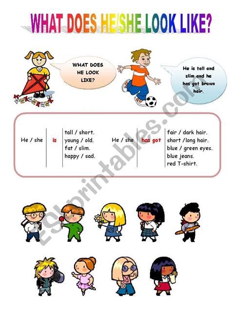 What Does He She Look Like English For Beginners Esl Worksheet