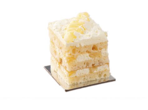 Chocolate Indulgence Slice Mr Cheese
