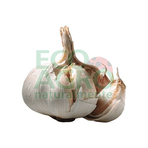 Cabeza De Ajo X Unidad Ecoagro