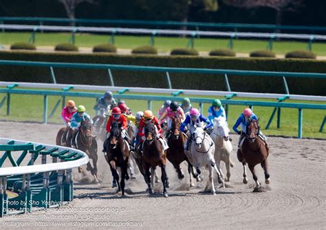 【シリウスステークス2024予想】オメガギネスの重賞初制覇