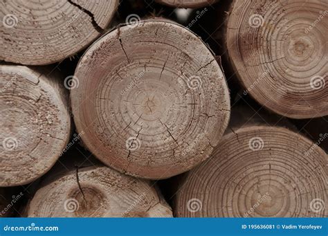 Parete Di Tronchi Di Legno In Pila Come Fondo Immagine Stock Immagine