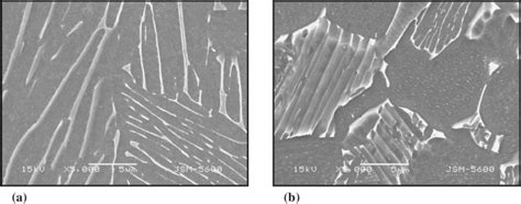 Sem Micrographs Showing Microstructures Of Ti 6al 4v A Fully Lamellar