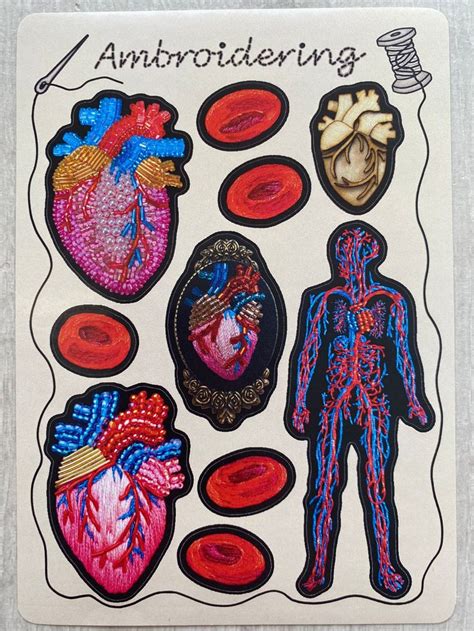 Heart And Circulatory Anatomical A6 Sticker Sheet Embroidery Blood