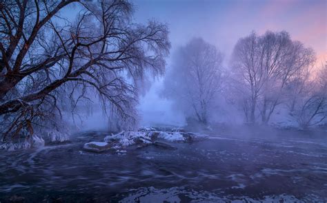 Fondos De Pantalla Mikhail Dubrovinskiy Paisaje Rboles Nieve