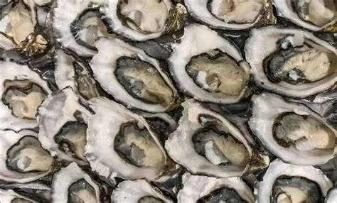 Red Hot Cod Burleigh Heads Served Fresh Daily It S Why We Re No 1 Order Online And Collect