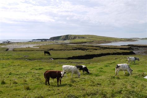 County Galway In Irland Irland Karte Irland Galway