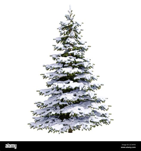 White Christmas Snow Tree Stock Photo - Alamy