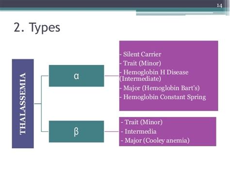 Thalassemia