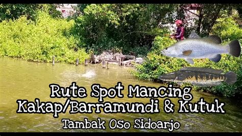 Rute Spot Mancing Kakap Putih Babon Kutuk Payus Tambak Oso Sidoarjo